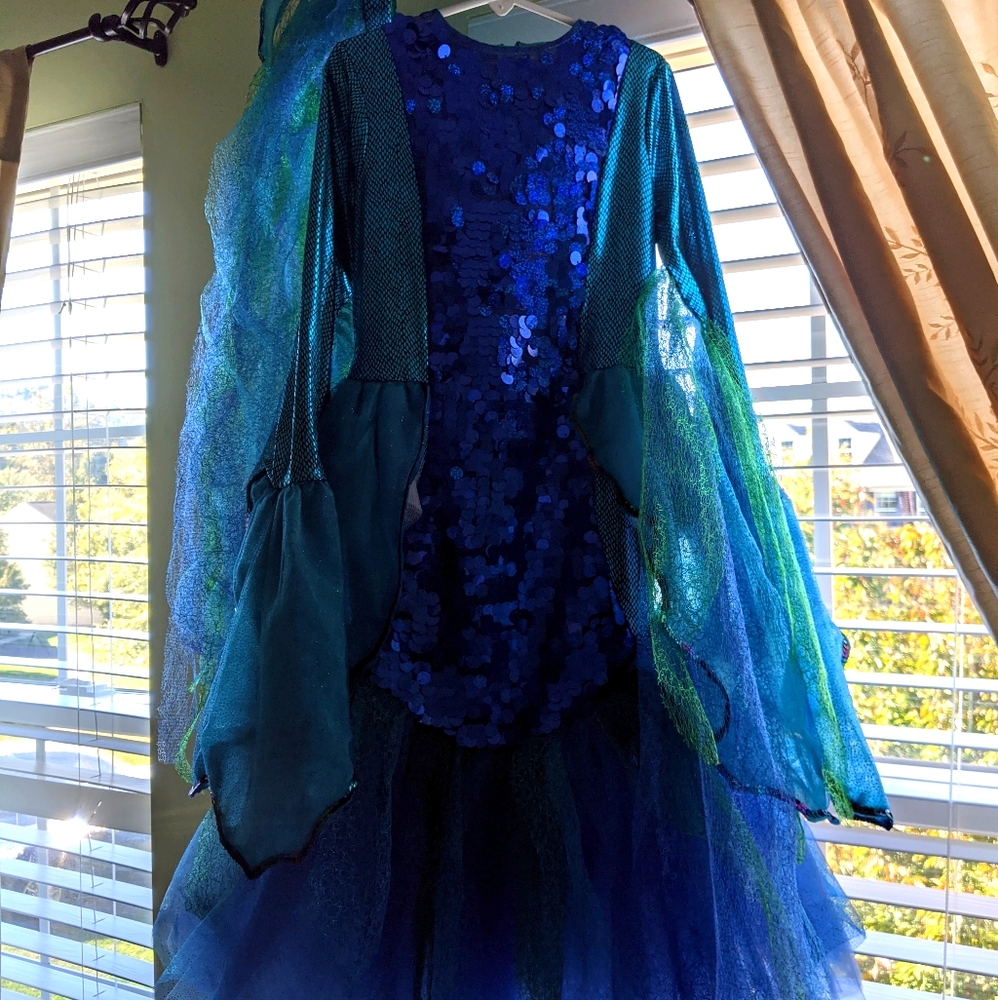 Wishcraft Angelfish Costume